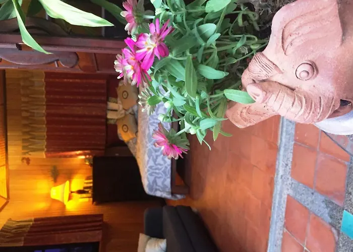 Shanti 招待所 2*