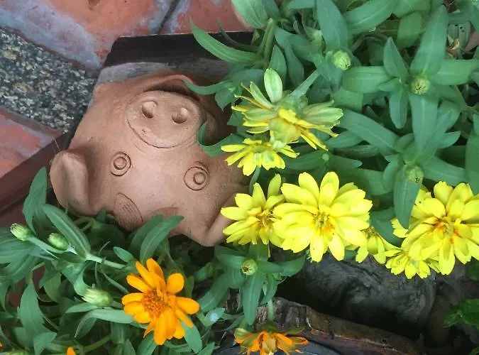 Shanti 招待所